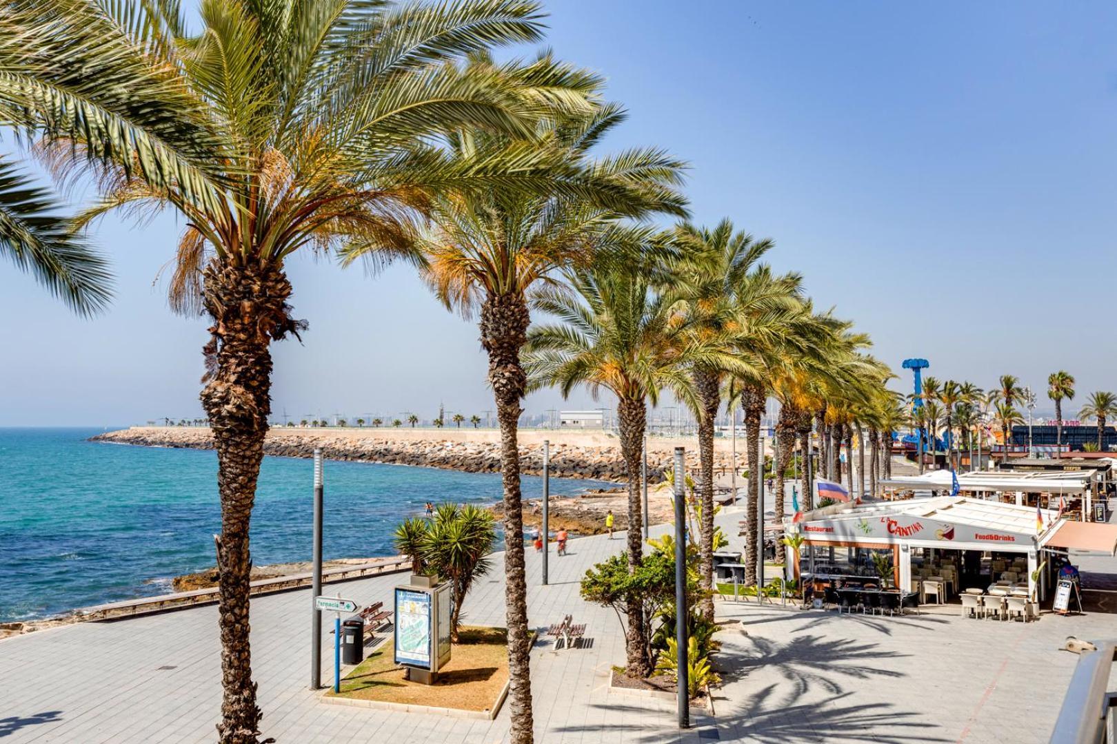 Apartamento CONCORDIA Apartment Torrevieja Bagian luar foto